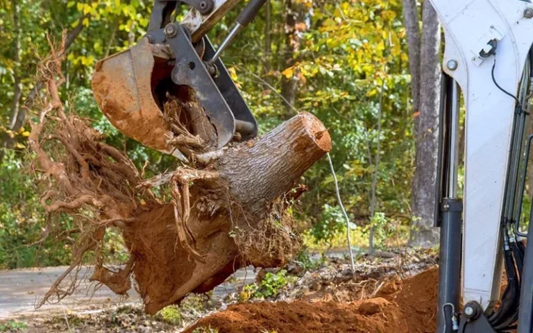 hoboken tree stump removal