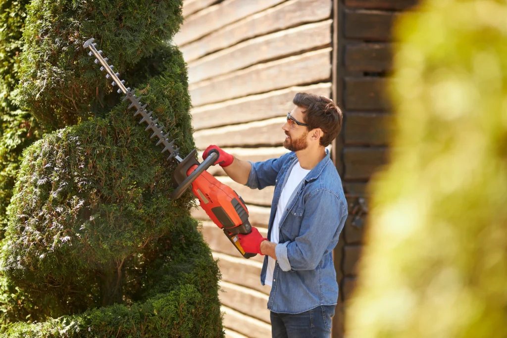 tree trimming Hoboken