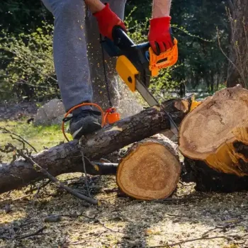 tree chainsaw hoboken